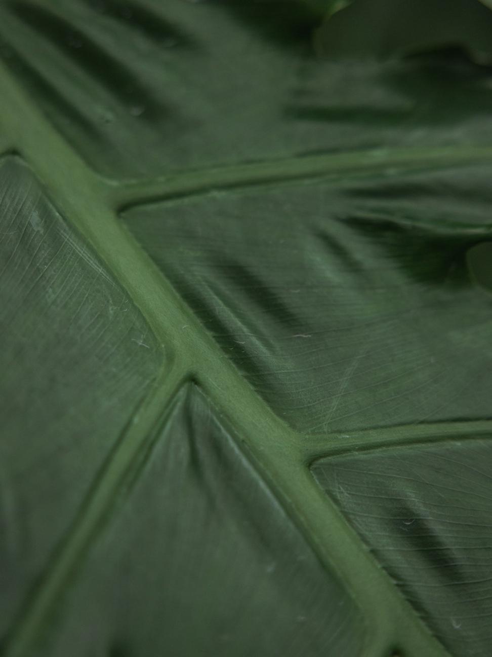 Natural Insulation