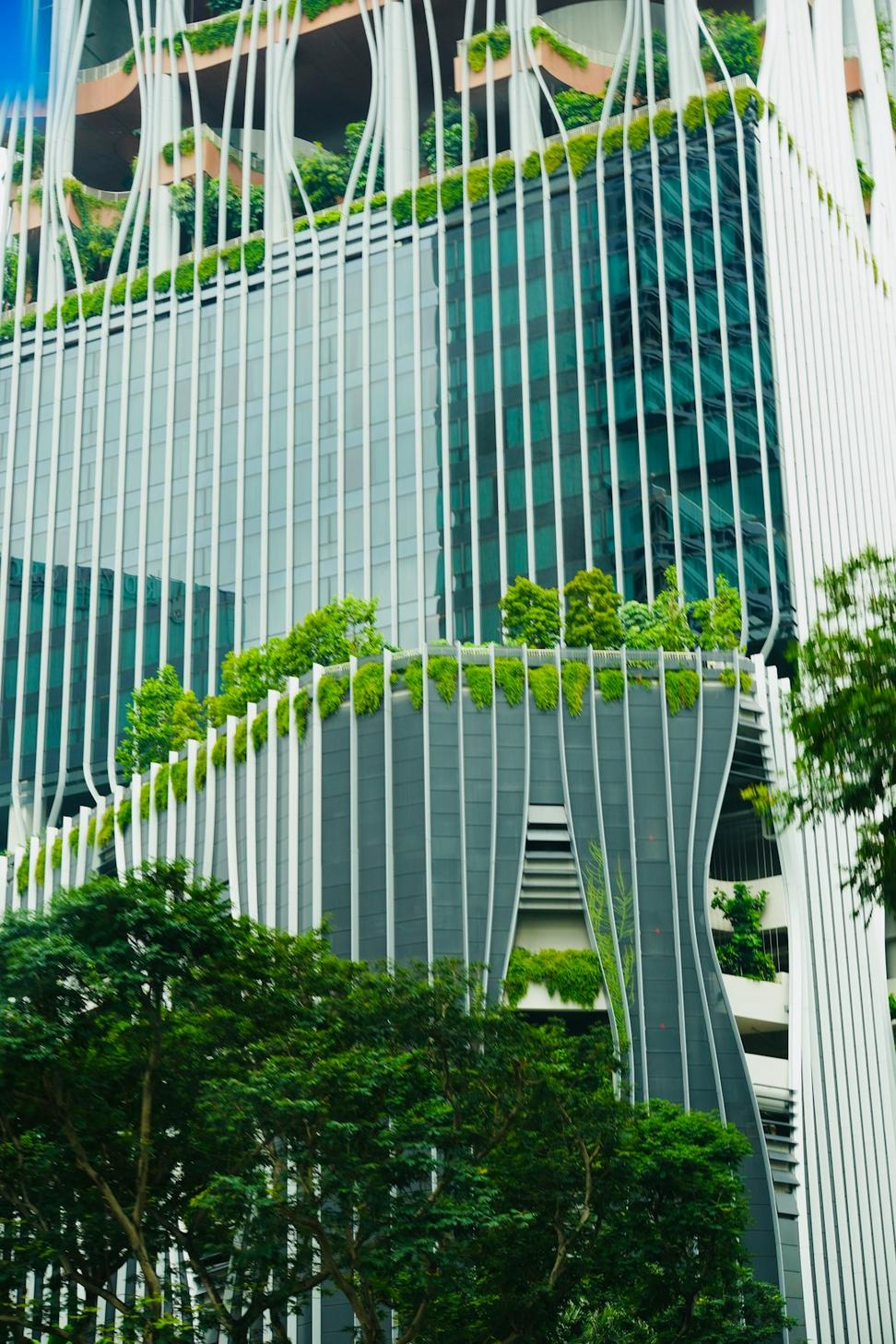 Featured Sustainable Project
