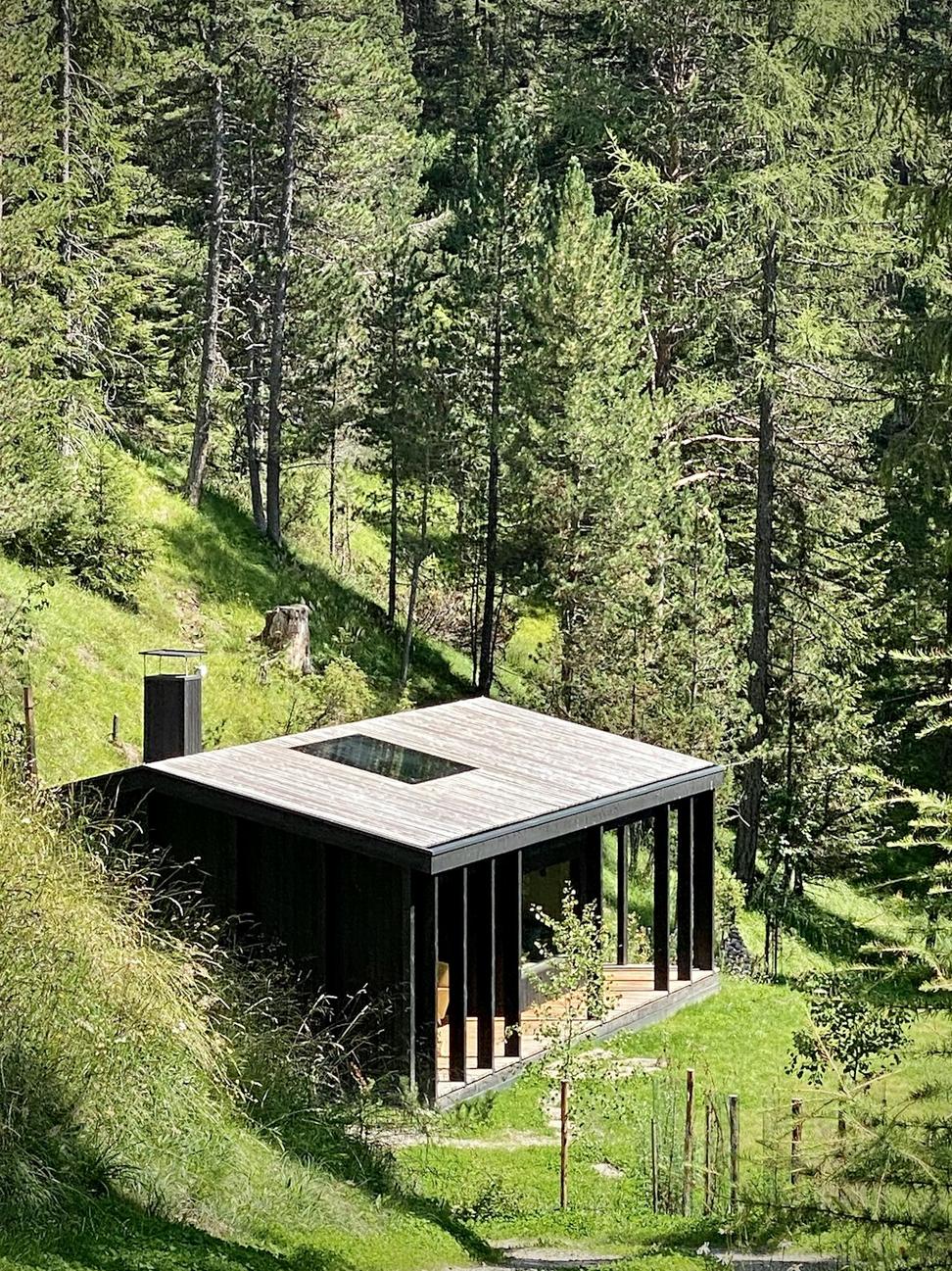 Biomimetic Architecture
