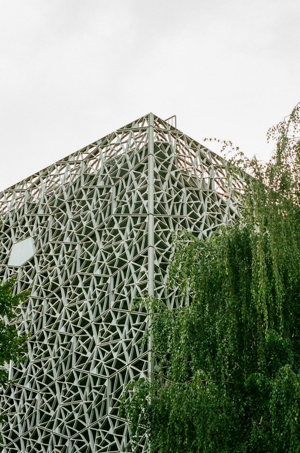 Biomimetic Architecture